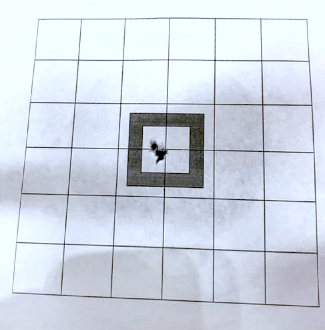 Nieload Nieload Max Heavy 4,52mm 750 stk hagl - Cameras & Optics > Camera & Optic Accessories > Optic Accessories > Weapon Scope & Sight Accessories Ammunition