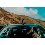 Nocpix NOCPIX M6T25S - Cameras & Optics > Cameras > Surveillance Cameras Vildtkamera